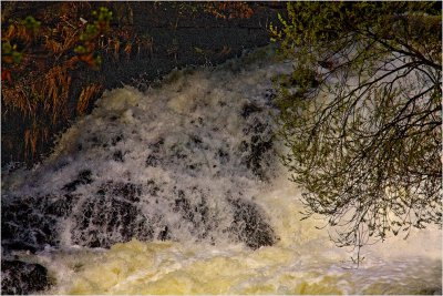 ALONG  AKERSELVA (AKERS RIVER) IN OSLO, NORWAY