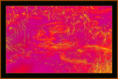347-Grass-grows-in-Water.jpg