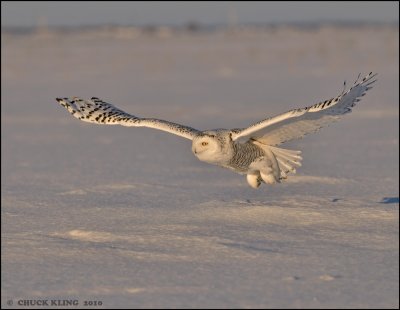 _DSC3070.jpg-800