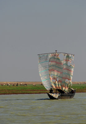 Sailing the Niger