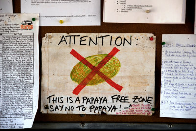 Papaya Free Zone