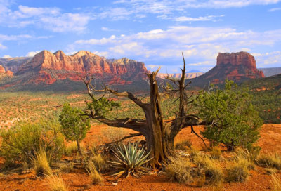 Sedona