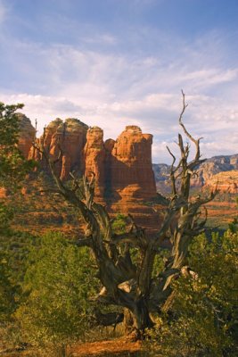 Coffee Pot Rock.jpg