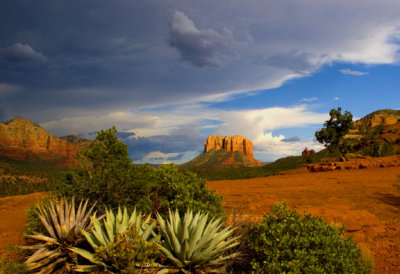Tres Agaves.jpg