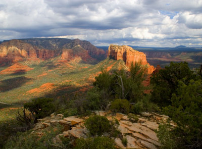 View from the Top.jpg