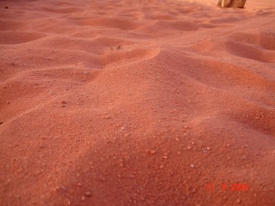 wadi5.jpg