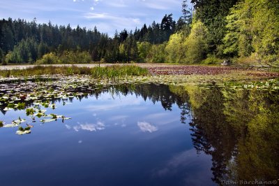 Stanley Park and the Vancouver Aquarium