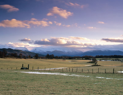 Cairngorm View