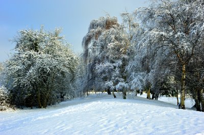 Luton Winter Wonderland