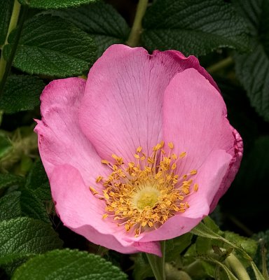 g3/17/102317/3/115294726.HPIXTTwe.jpg