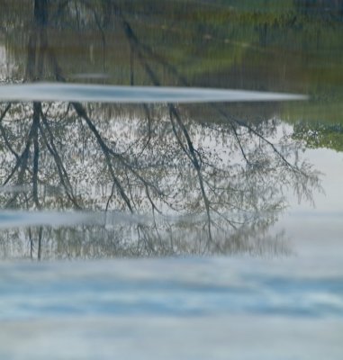 P5072321_lzn.jpg