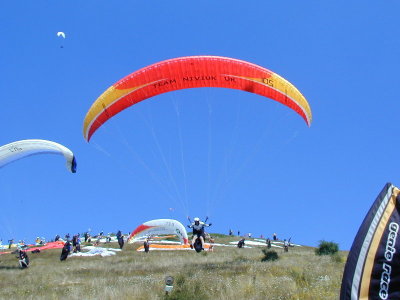 Sopot - Paragliding
