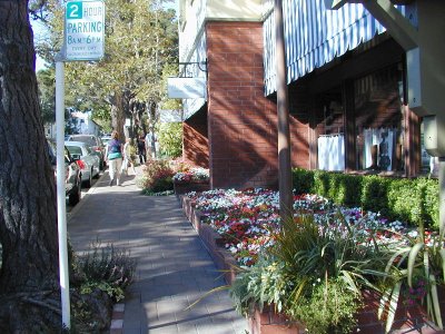 sP9070219.JPG