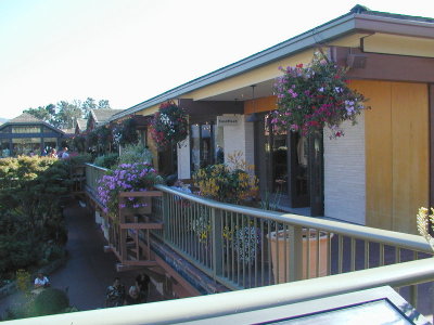 sP9070223.JPG