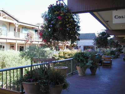 sP9070224.JPG