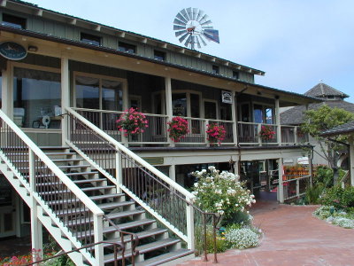 sP9080263.JPG