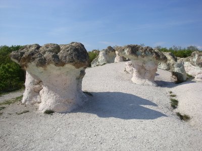 Stone Mushrooms  (Êàìåííè ãúáè)