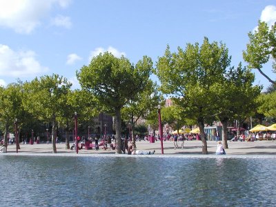 P8271744.JPG