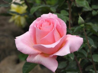 IMG_3448.JPG