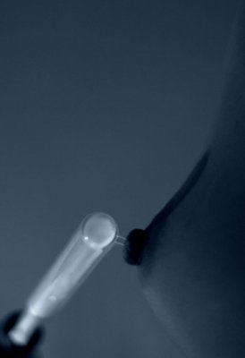 Resize of _DSF4275.jpg
