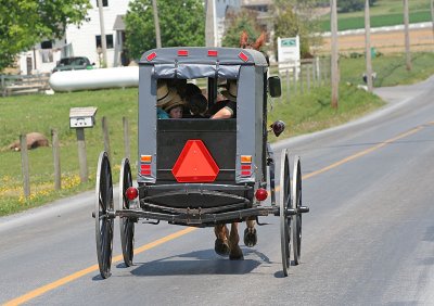 Amish Buggies