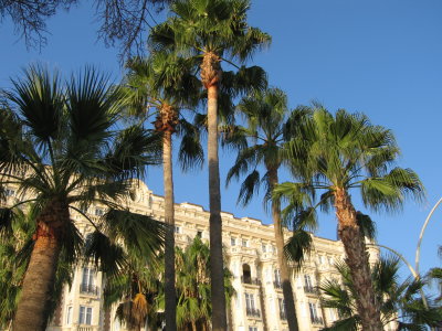 OurHotel_Cannes