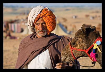 Man Camel 11
