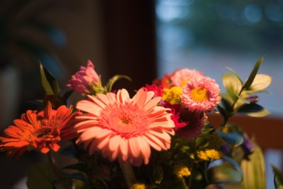 g3/17/33417/3/121416050.cbyTK8eh.jpg