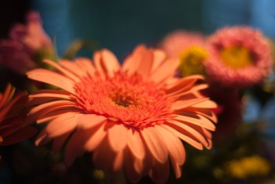 g3/17/33417/3/121416053.W5PJSzNU.jpg