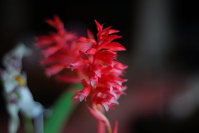 g3/17/33417/3/121997987.CHfXPKon.jpg