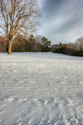 Old Westbury Garden LI