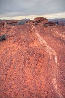 Horseshoe Bend