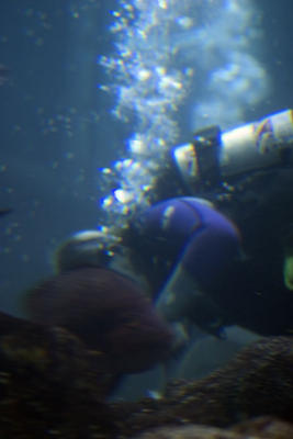 New England Aquarium,Boston