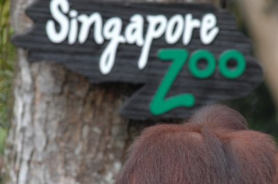 Singapore Zoo @ 03 Sept 06
