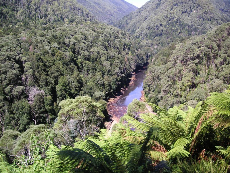 King River Gorge  4