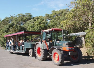 Tractor train for tourists
