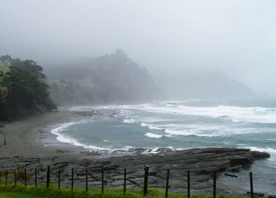 Wild Coast