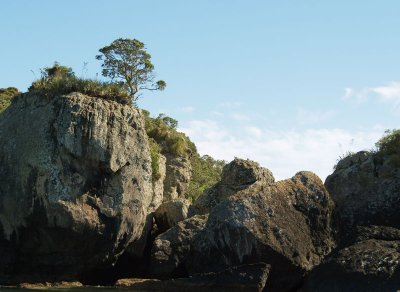 Shore of Purerua Peninsula  2