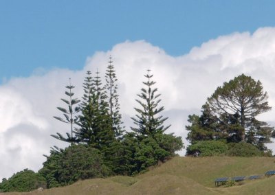 Skyline, Cape Brett Peninsula