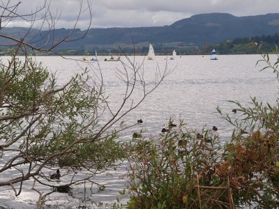 Lake Rotorua - 2
