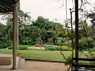 View from the verandah