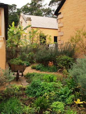 A corner between the house and the shop