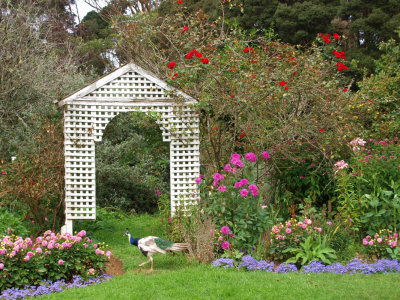 Ellendale Gardens, Tasmania