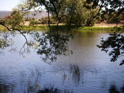 Macquarie River at Ross  1