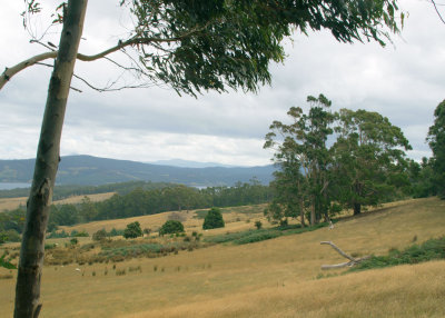 Lower Huon Valley  1