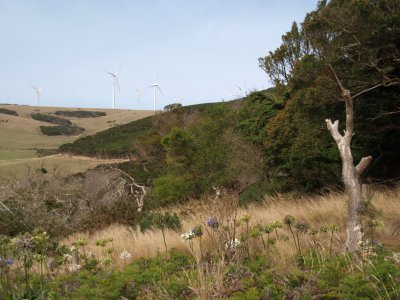 Wind Farm seen from the Top House