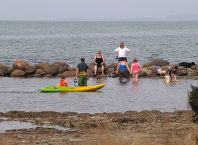 Eight Tasmanians and their dogs