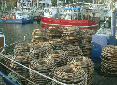 Crayfishing boats