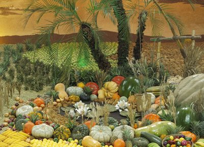 N.D. Exhibit detail