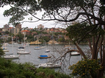 Leafy view of Mosman Bay